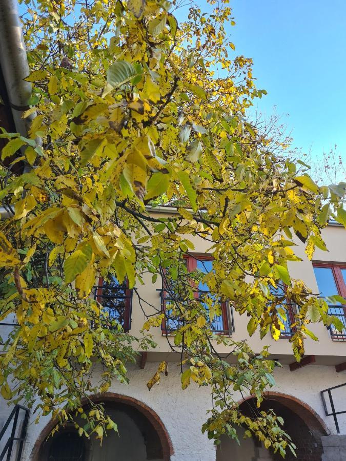 Bed and Breakfast Palantir Panzio Miskolc Esterno foto